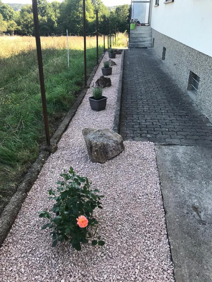 Ferienwohnung Sunny - Moderne Ferienwohnung Im Gruenen In Saarbruecken-West Kültér fotó